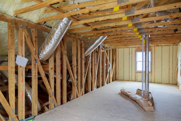 Best Insulation Maintenance and Repair in Balcones Heights, TX