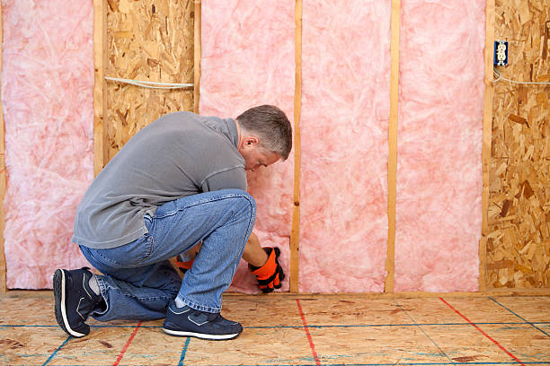 Best Residential Insulation in Balcones Heights, TX
