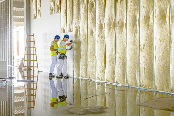 Best Insulation Maintenance and Repair in Balcones Heights, TX